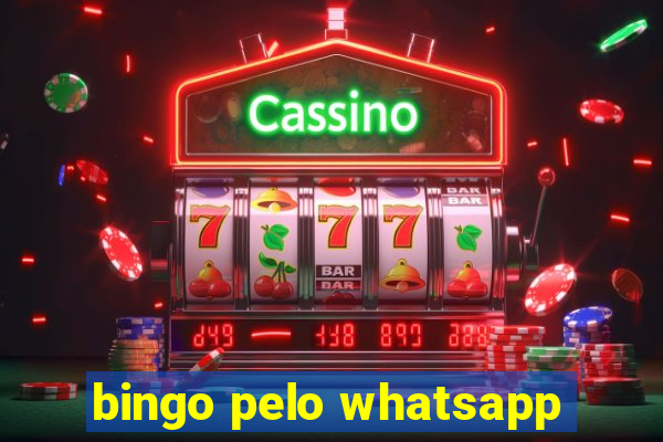 bingo pelo whatsapp