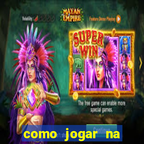 como jogar na seninha online