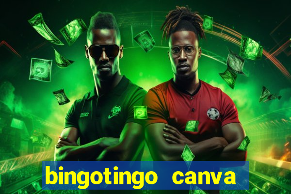 bingotingo canva pro gratis